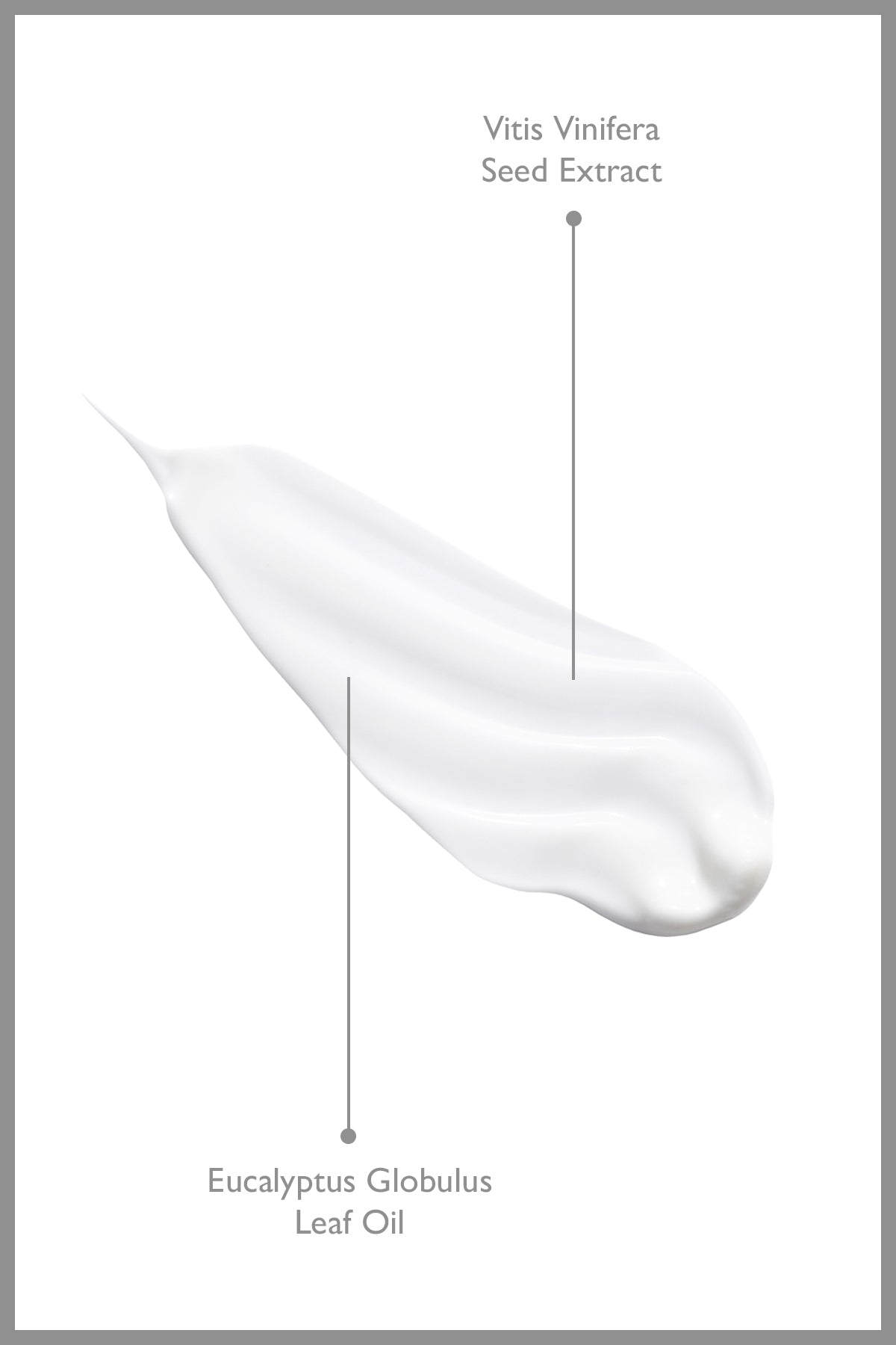 %100 Doğal Roll-On Deodorant Ter Kokusu Önleyici Bitkisel İçerikli Alüminyum İçermez 50 ml